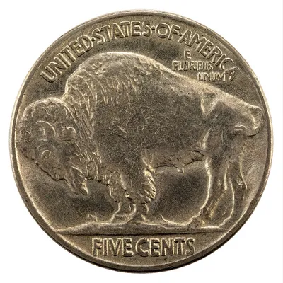 Reverse of Buffalo Nickel